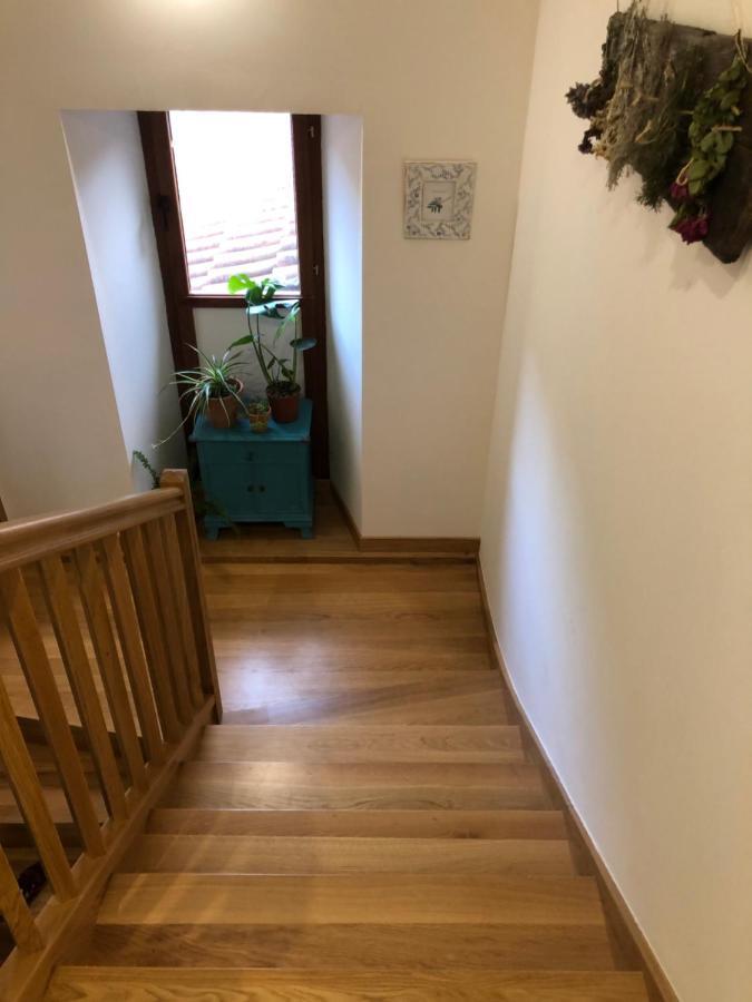 Maistraren Etxea Evi00179 Saratxo Bagian luar foto