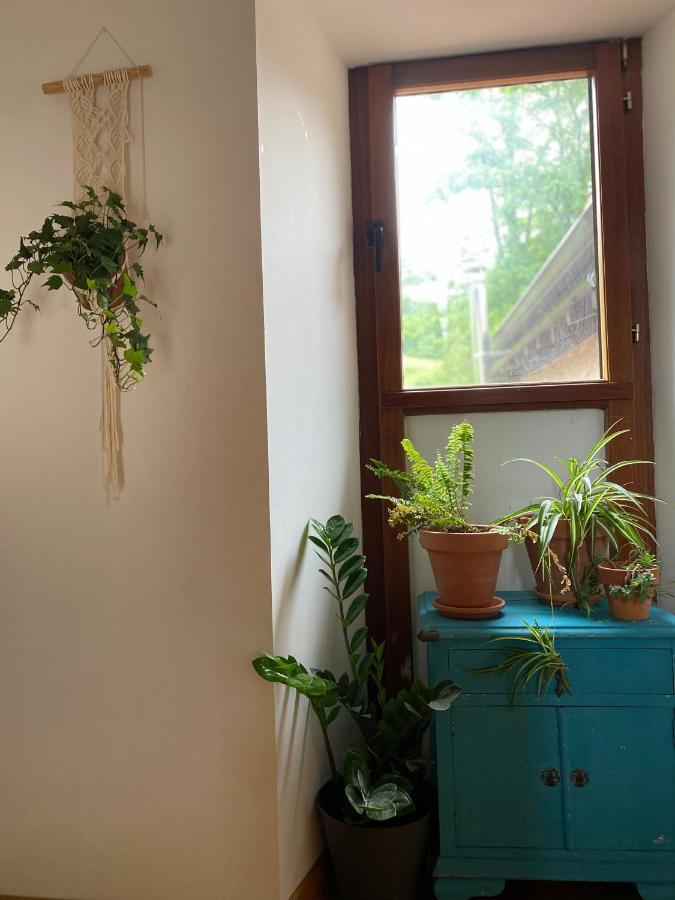 Maistraren Etxea Evi00179 Saratxo Bagian luar foto